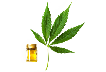 hemp oil composition of Cannabis oil